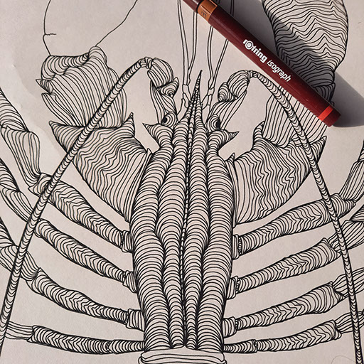 Detaljni plan uređenja