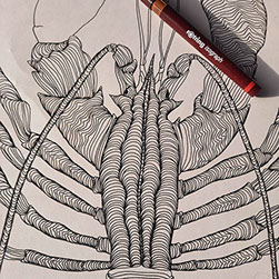 Detaljni plan uređenja