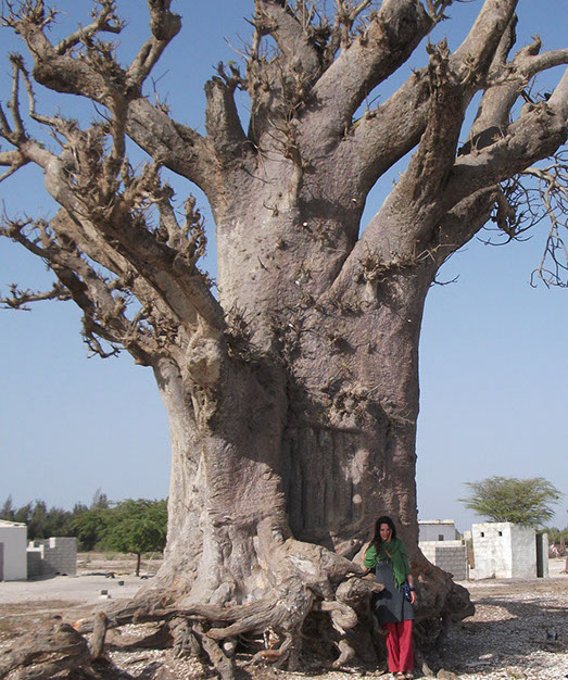 Detaljni plan uređenja
