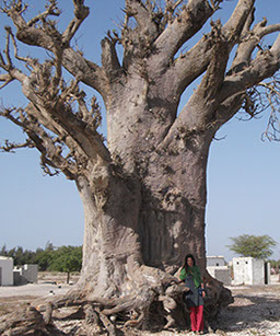 Detaljni plan uređenja