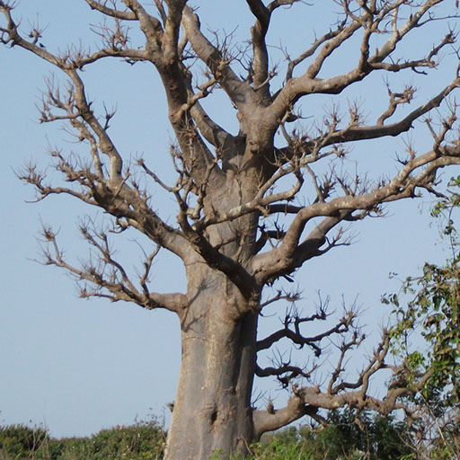 Detaljni plan uređenja