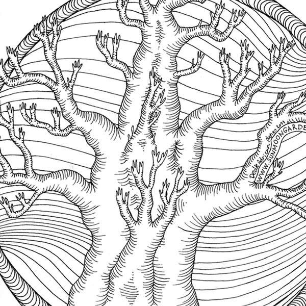 Detaljni plan uređenja