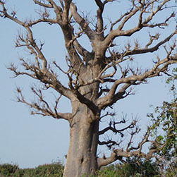 Detaljni plan uređenja