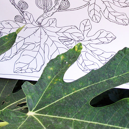 Detaljni plan uređenja