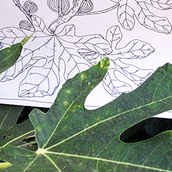 Detaljni plan uređenja