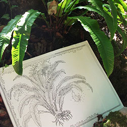 Detaljni plan uređenja